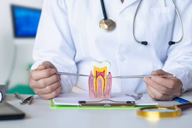 Best Weekend Emergency Dentist in Belmont, NC